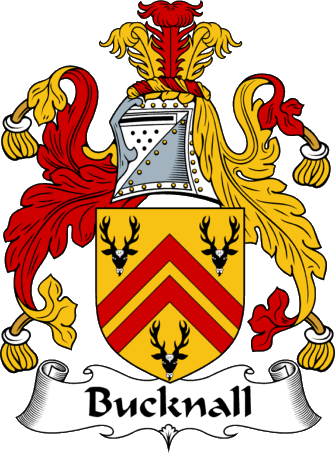 Bucknall Coat of Arms
